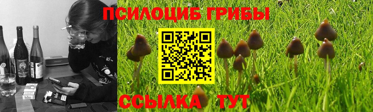 Псилоцибиновые грибы Magic Shrooms Нефтеюганск