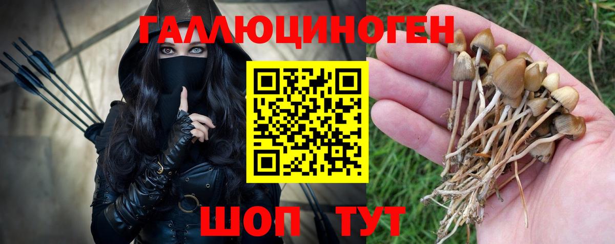 Нефтеюганск  Галлюциногенные грибы Psilocybe  Вход с VPN 